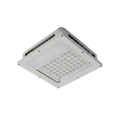 Big Shine LED: Vera Canopy Light